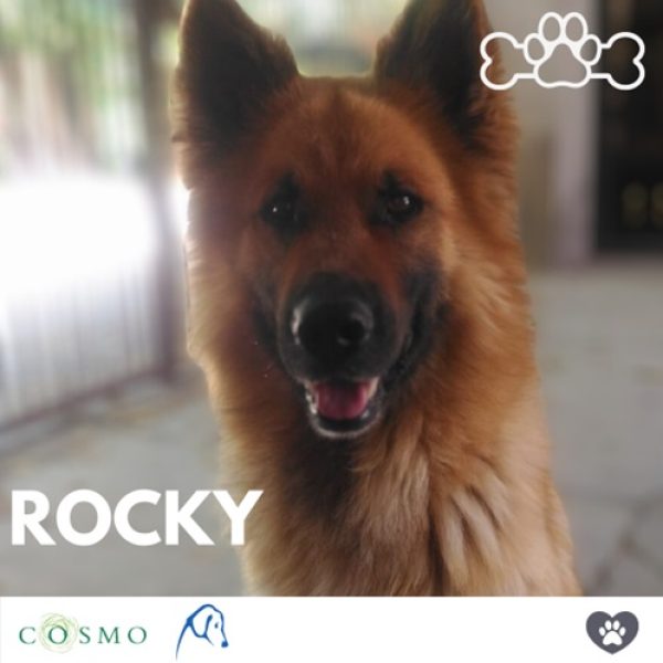 Rocky1